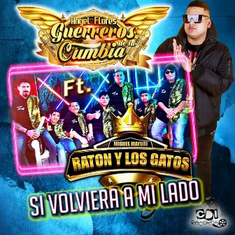 Si Volvieras A Mi Lado by Angel Flores y los Guerreros de la Cumbia