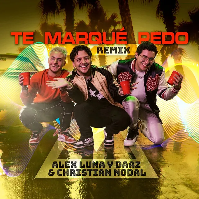 Te Marqué Pedo - Remix