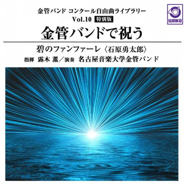 花火～心もしのに古おもほゆ～