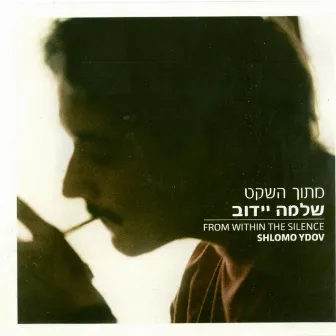 From Within The Silence by Shlomo Ydov