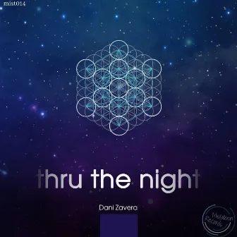 Thru the Night by Dani Zavera