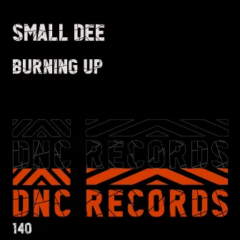 Burning Up by Small Dee