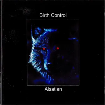 Alsatian by Birth Control