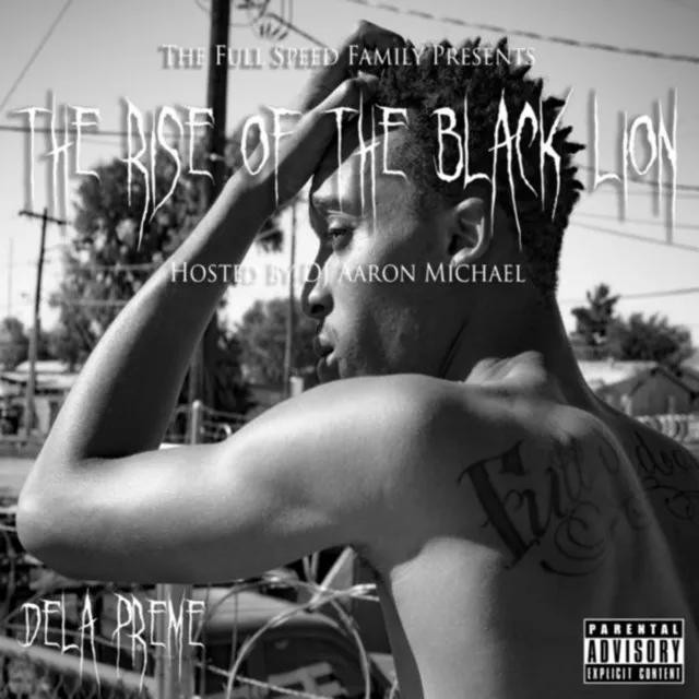 The Rise of the Black Lion