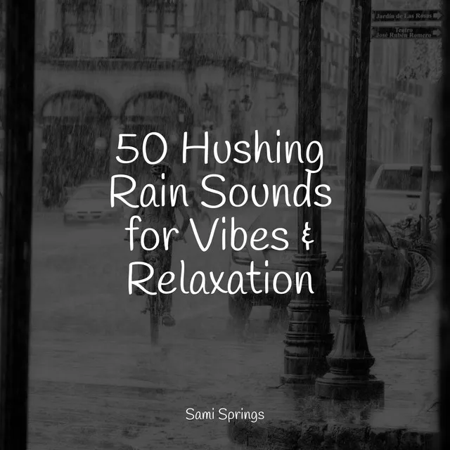 50 Hushing Rain Sounds for Vibes & Relaxation