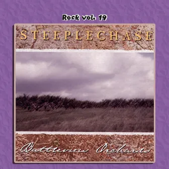 Rock Vol. 19: Steeplechase by Steeplechase