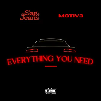 Everything You Need by Mr. Sag N My Jeans