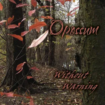 Without Warning by Opossum