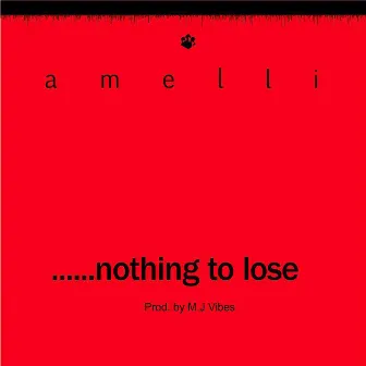 Nothing to Lose by Amelli