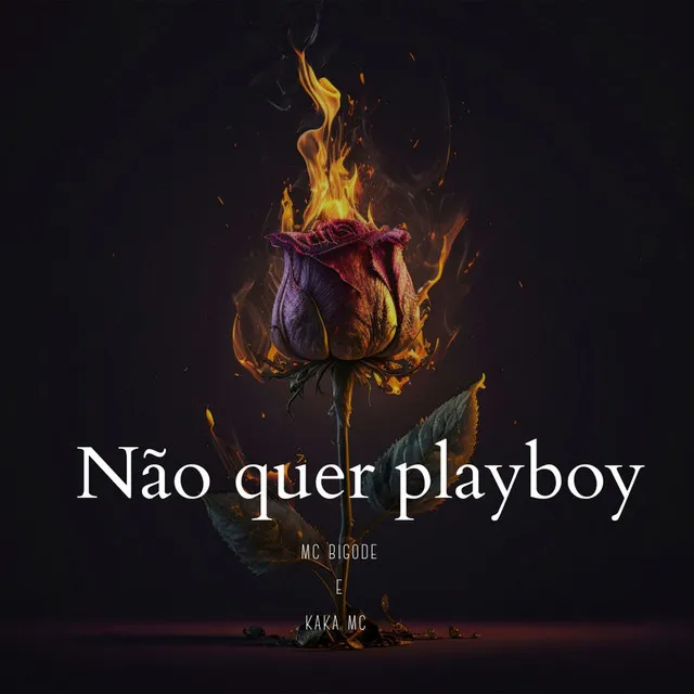 Não Quer Playboy