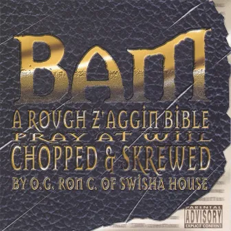 Pray At Will (Screwed & Chopped) by Bam