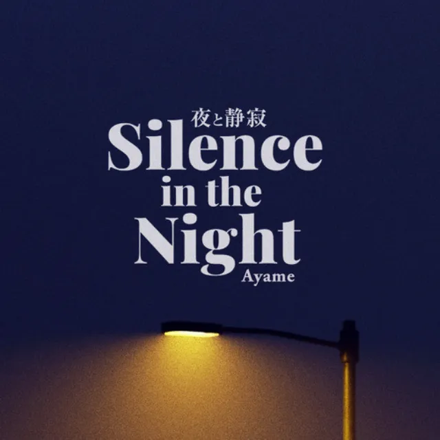 Silence in the Night