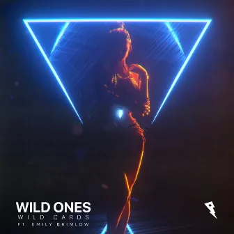 Wild Ones by Wild Cards