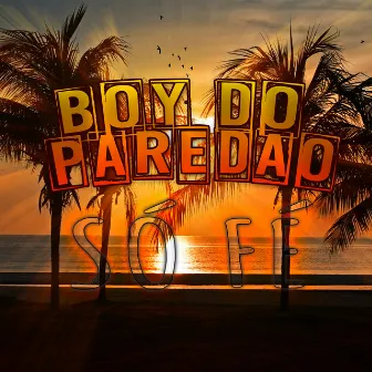 Só Fé by Boy Do Paredão