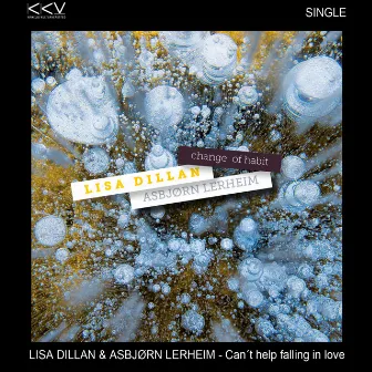 Can't Help Falling in Love by Lisa Dillan