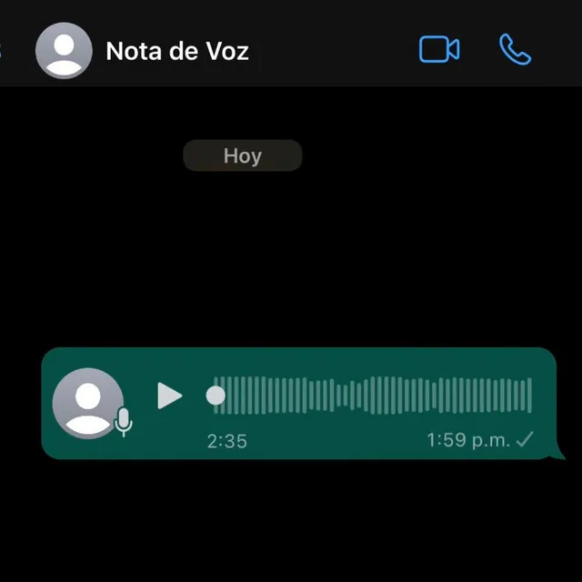 Nota de voz