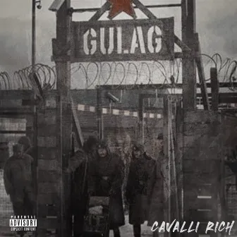 Gulag by Cavalli Rich