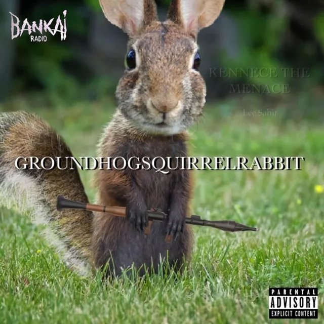 Groundhogsquirrelrabbit