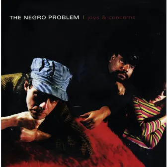 Joys and Concerns by The Negro Problem