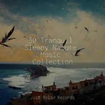 50 Tranquil Sleepy Nature Music Collection by Lullabyes