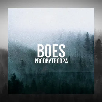 Boes by TROOPA