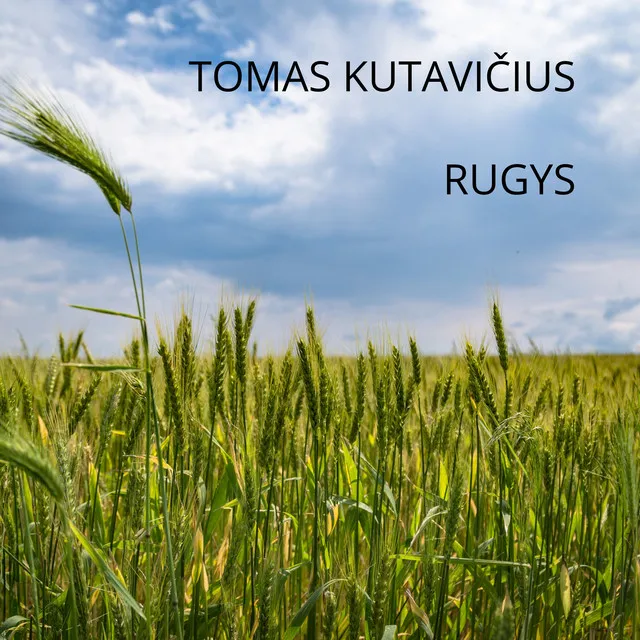 Rugys