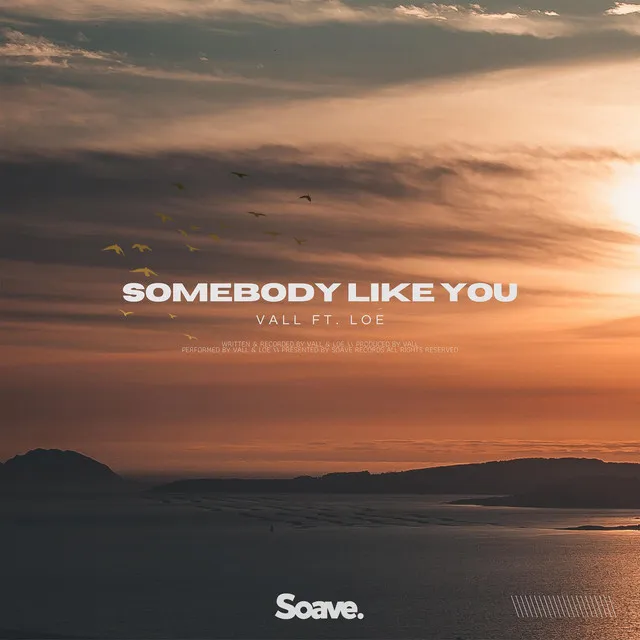 Somebody Like You