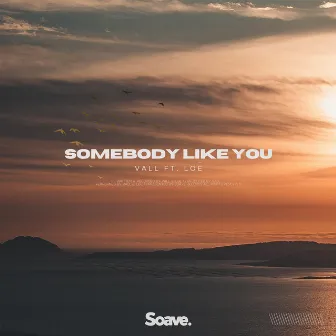 Somebody Like You by Vall