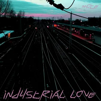 Industrial Love by Mote