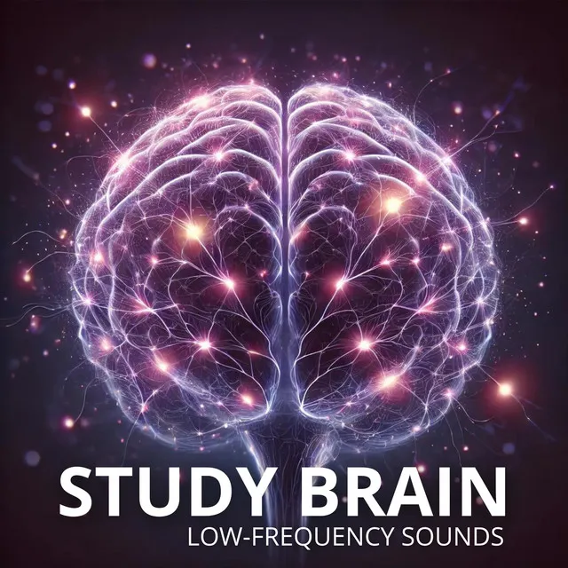 Hz Study Frequency