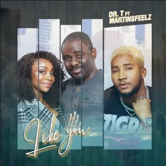 Like You by Dr. T