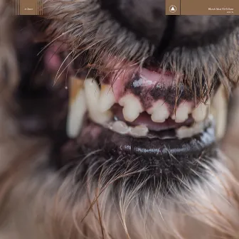 World Eater by Blanck Mass