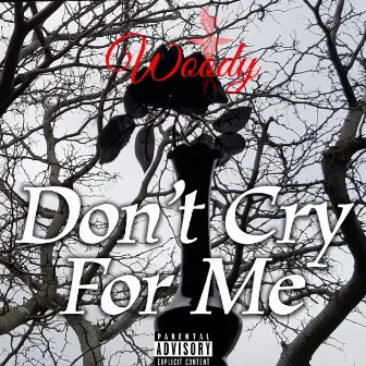 Don't Cry for Me by Woody