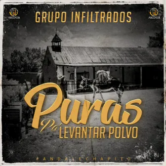 Puras Pa' levantar Polvo (En Vivo) by Grupo Infiltrados