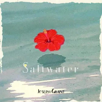 saltwater by Joseph Grant