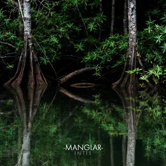 Manglar by Miguel Hiroshi