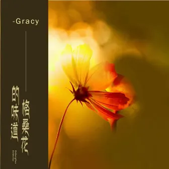 格桑花的味道 by Gracy