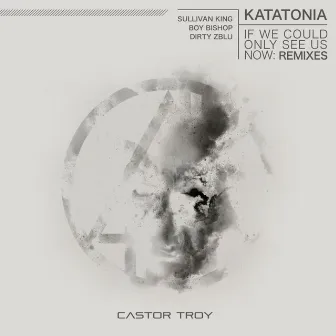 If We Could Only See Us Now - Remixes by Castor Troy