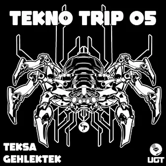 Tekno Trip 05 by Teksa