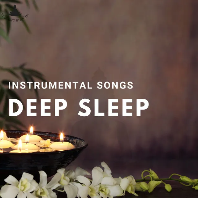 Stress Relief Deep Meditation (Waves Sound)