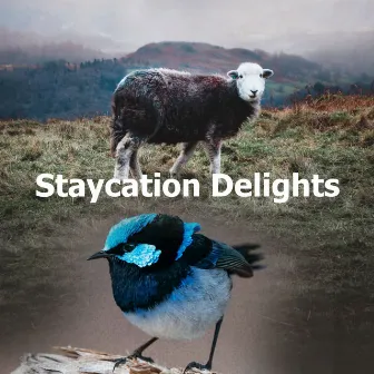 Staycation Delights by Hidden Gems Nature