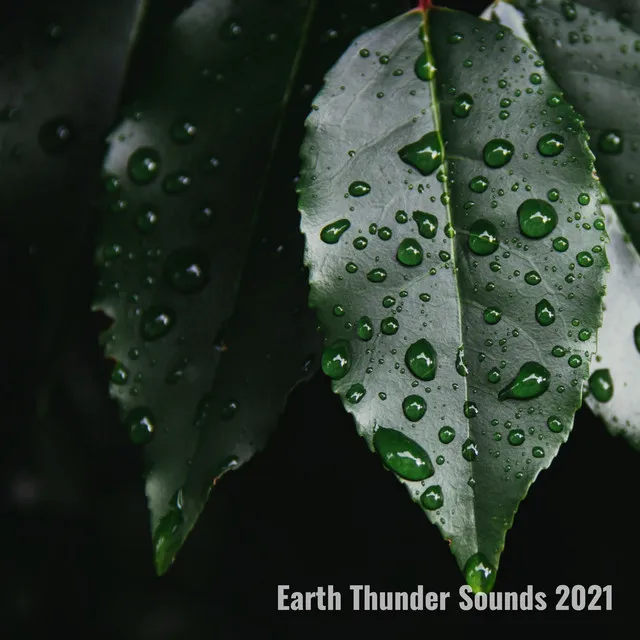 Forest Rain And Thunder (Seamless)