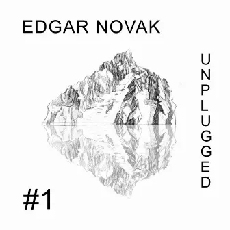 Unplugged, No. 1 by Edgar Novak