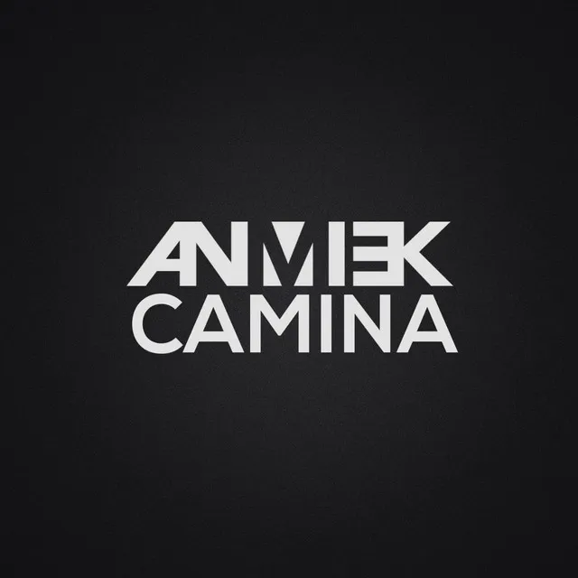 Anmiek Camina