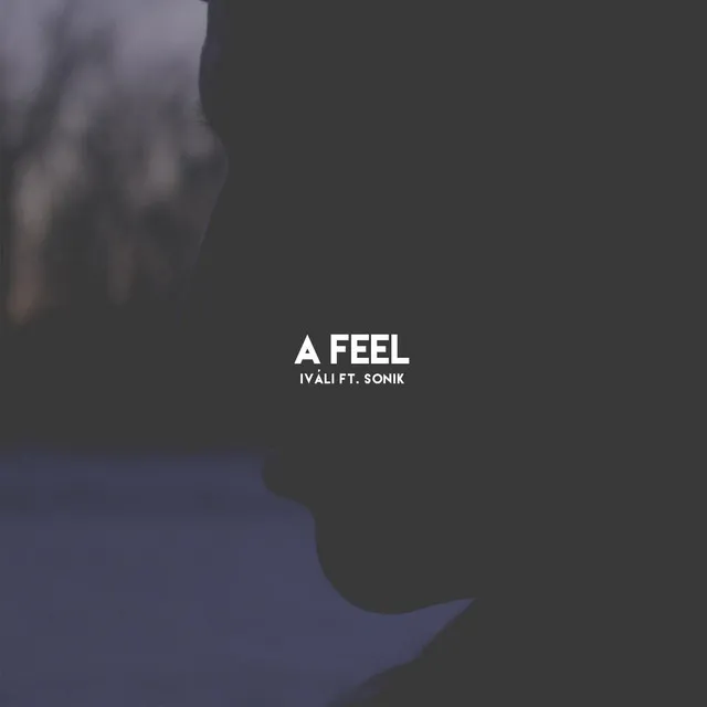 A Feel (feat. Sonik)