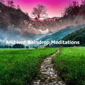 Ambient Raindrop Meditations by Nature Soundscapes