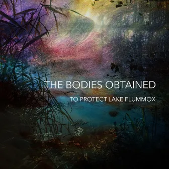 To Protect Lake Flummox by The Bodies Obtained