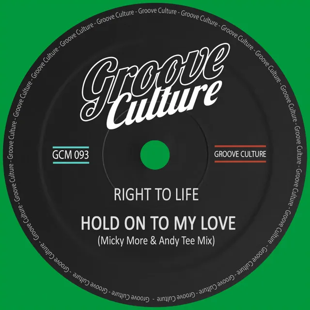 Hold On To My Love - Micky More & Andy Tee Mix