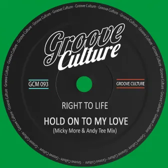 Hold On To My Love (Micky More & Andy Tee Mix) by Right To Life