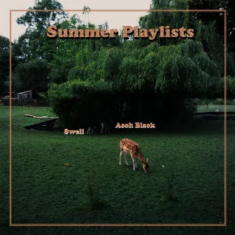 Summer Playlists by Asoh Black!